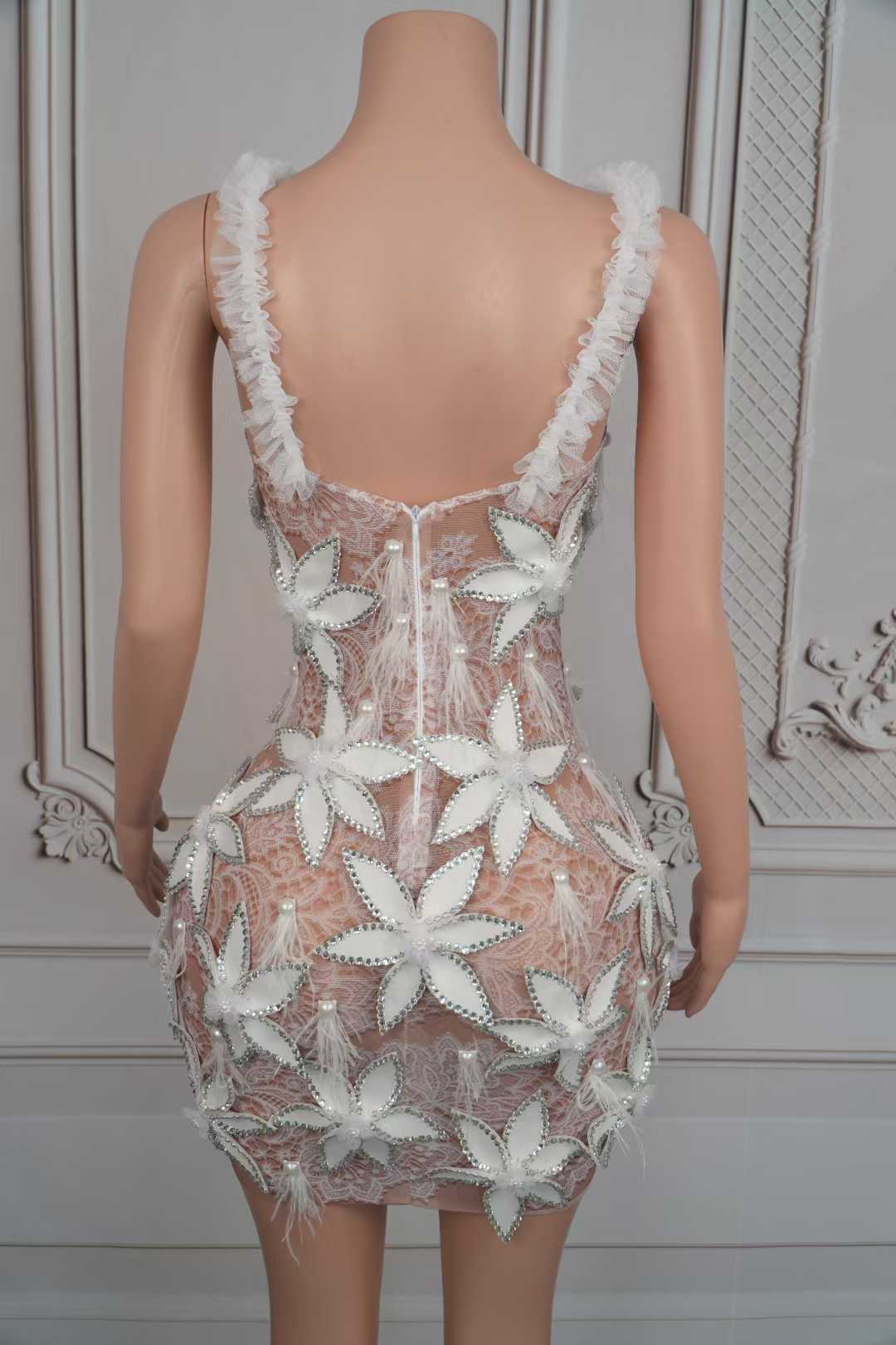 DAISY